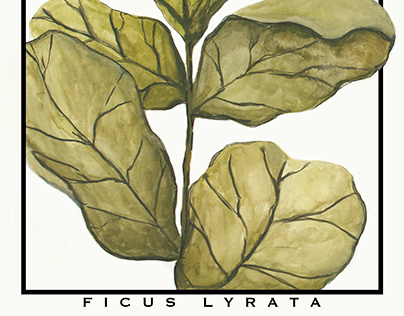 Fiddle Leaf Fig Print