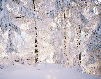 Poland: Winter Beskids