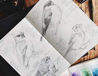 Sketchbooks with birds