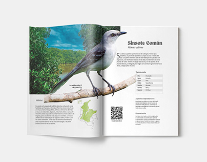 Libro científico sobre especies de aves