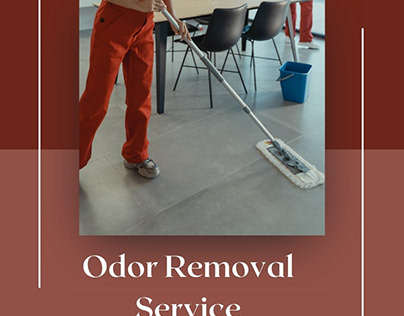 Odor Removal Service in Thompsonville MI