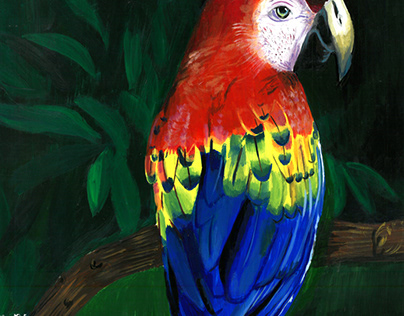 Acrylic on board-Macaw