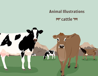 Animal illustrations - cattle -