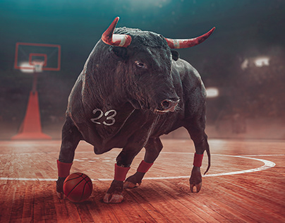The real Chicago Bull