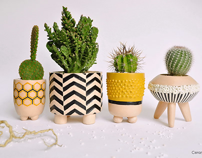 ceramic pots for cactus