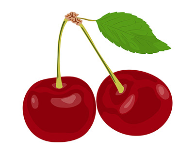 Sweet red cherries with leaves and branches