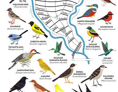 MAPA Infografia aves