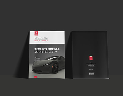 Catalog design for Tesla
