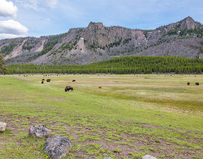 Yellowstone National Park - Natural; Beauty
