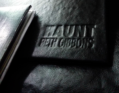 HAUNT - Beth Gibbons. CD - Diseño 1, cátedra Gabrielle