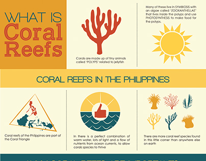 Coral Reefs Infographics