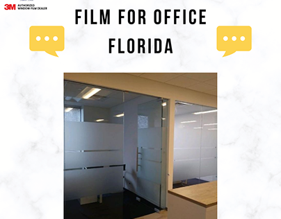 Privacy Window Film for Office Florida
