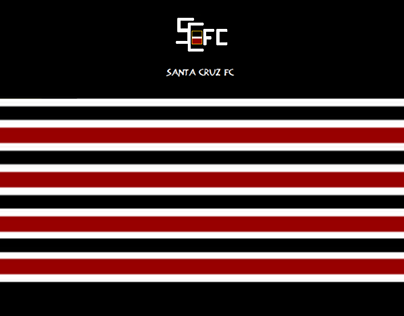 Bandeira Santa Cruz FC - Recife, PE (2020)