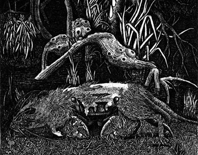 ネズミの死骸を被るアオキガハラオカモクズショイ（県指定天然記念物）