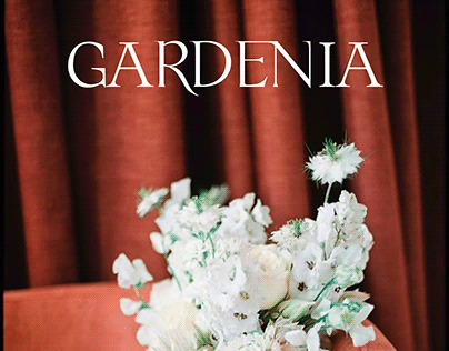 Gardenia - Floral studio