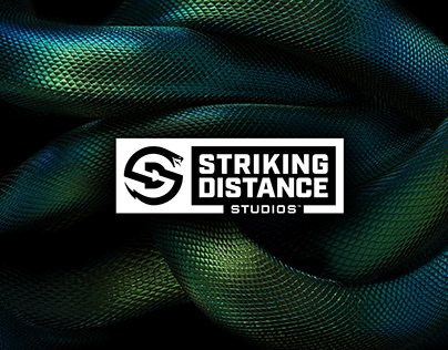 Striking Distance Studios Identity System