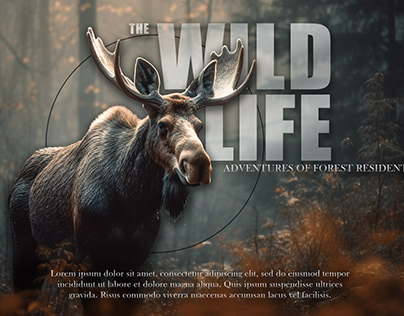 the wild life poster