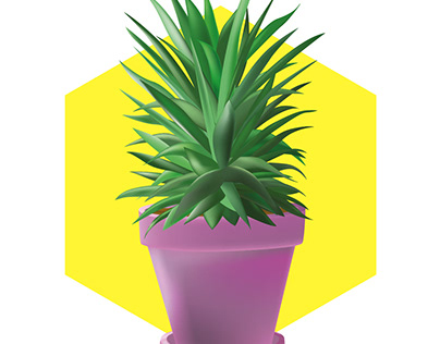 Plant a Pineapple