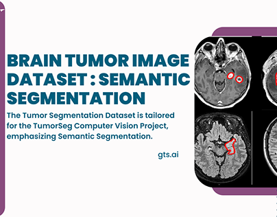 Brain Tumor Image DataSet Semantic Segmentation