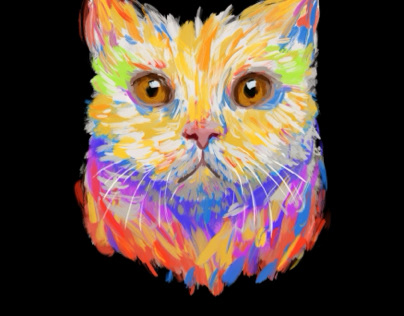 color cat