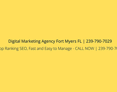 Digital Marketing Agency Fort Myers FL | 239-790-7029