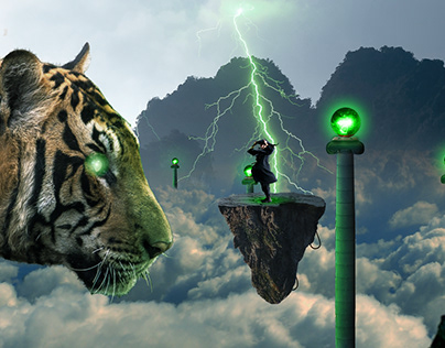 A Visual Tale of Tiger and Thunder