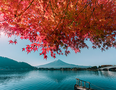 Project thumbnail - Japan -Autumn colors