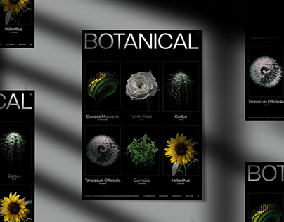 BOTANICAL - Poster Collection