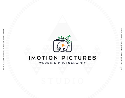 VFN IMOTION PICTURES LOGO