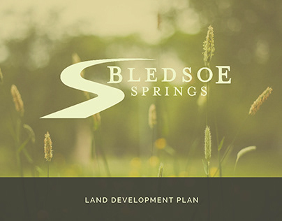 Bledsoe Springs Subdivision (Patternbook & Logo)