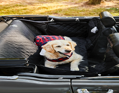Best Back Seat Car Cover For Dogs