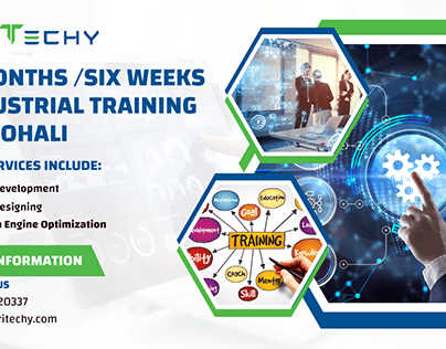 6 months /six weeks of industrial training in Mohali