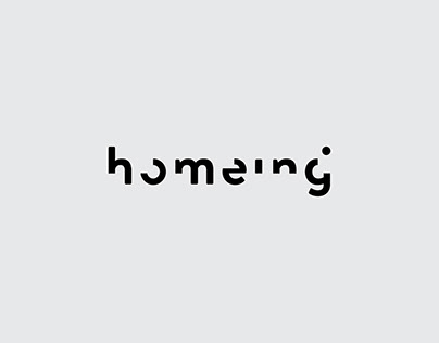 Visual identity for Homeing project