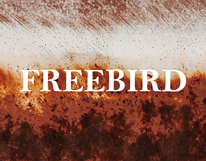 Project thumbnail - FREEBIRD STORES