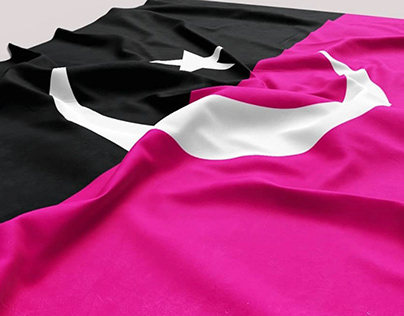 Pakistan Femicide Flag