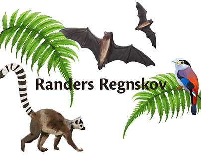 Randers Regnskov - Redesign