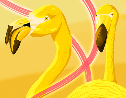 Yellow flamingos
