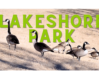 Project thumbnail - Lakeshore Park Nature Photography