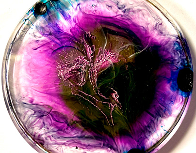 Expérimentation prolifération violette