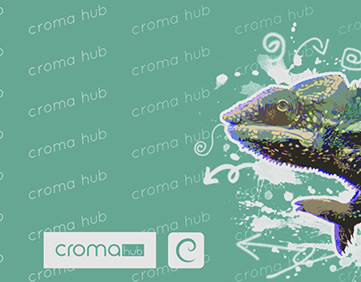 Croma hub (2018)