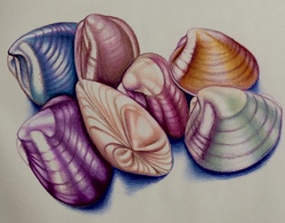 "Clams" adding the color... Update