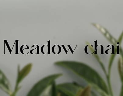Айдентика для чайного бренда Meadow chai