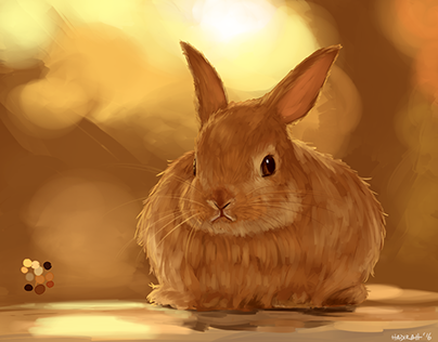 Bunny Study
