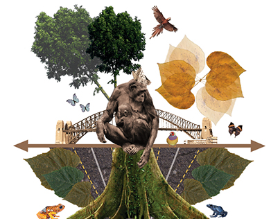 Environmental Collage Poster
