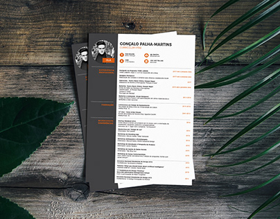Curriculum Vitae and Business Card