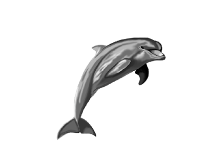 delfiny cyfrowo