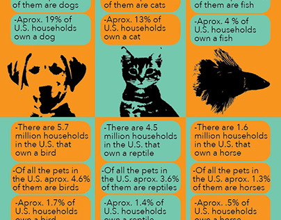 Infographic (Household Pets)