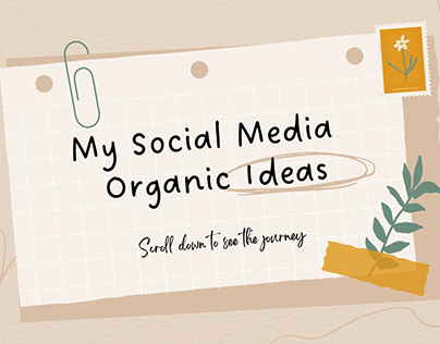 Social Media Organic Journey