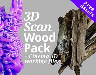 3D Scan Wood Pack