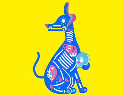 Xoloitzcuintle Projects | Photos, videos, logos, illustrations and branding  on Behance